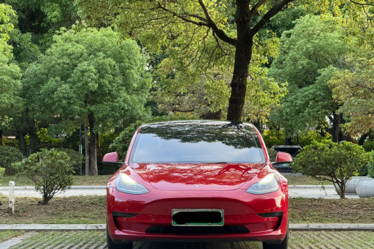Tesla Model 3 2021 #4 Tesla Model 3 2021 car image #4