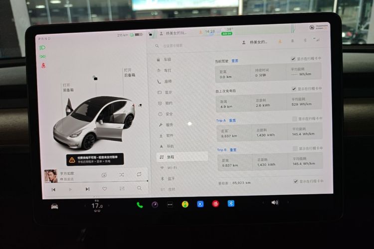 Tesla Model Y 2021 car image #16