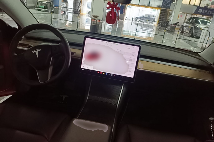 Tesla Model 3 2020 car image #10