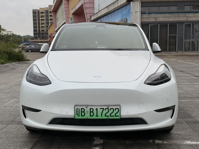 Tesla Model Y 2022 car image #2