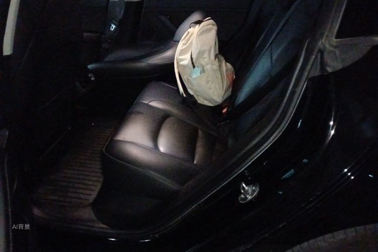 Tesla Model 3 2023 car image #19