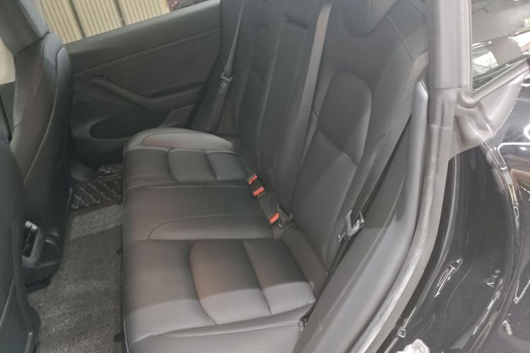 Tesla Model 3 2021 car image #17