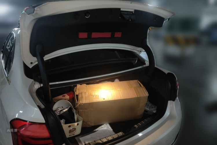 BMW 3 Series 2016 car image #21