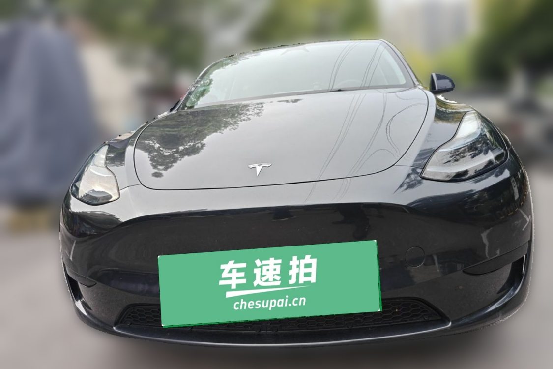 Tesla Model Y 2024 car image #5