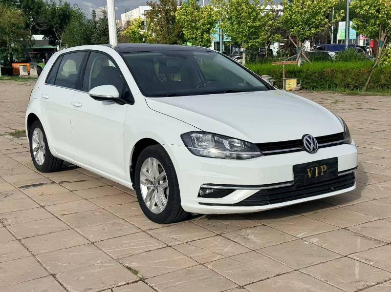 Volkswagen Golf 2019 Volkswagen Golf 2019 car image