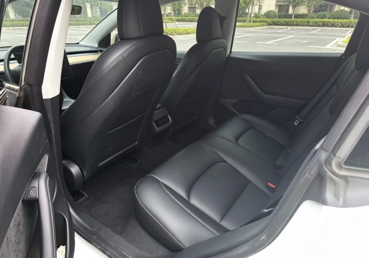 Tesla Model 3 2021 immagine di auto #3