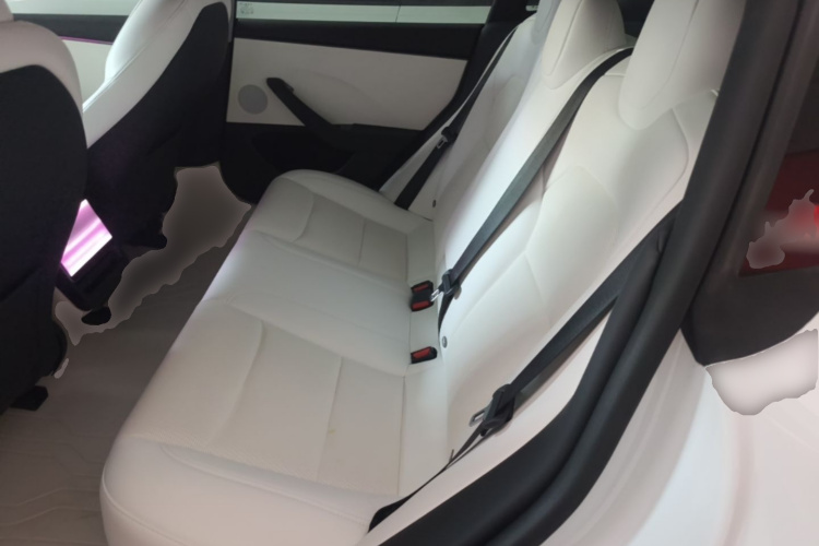 Tesla Model 3 2025 immagine di auto #17