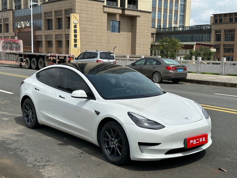 Tesla Model 3 2021 #3 Tesla Model 3 2021 car image #3