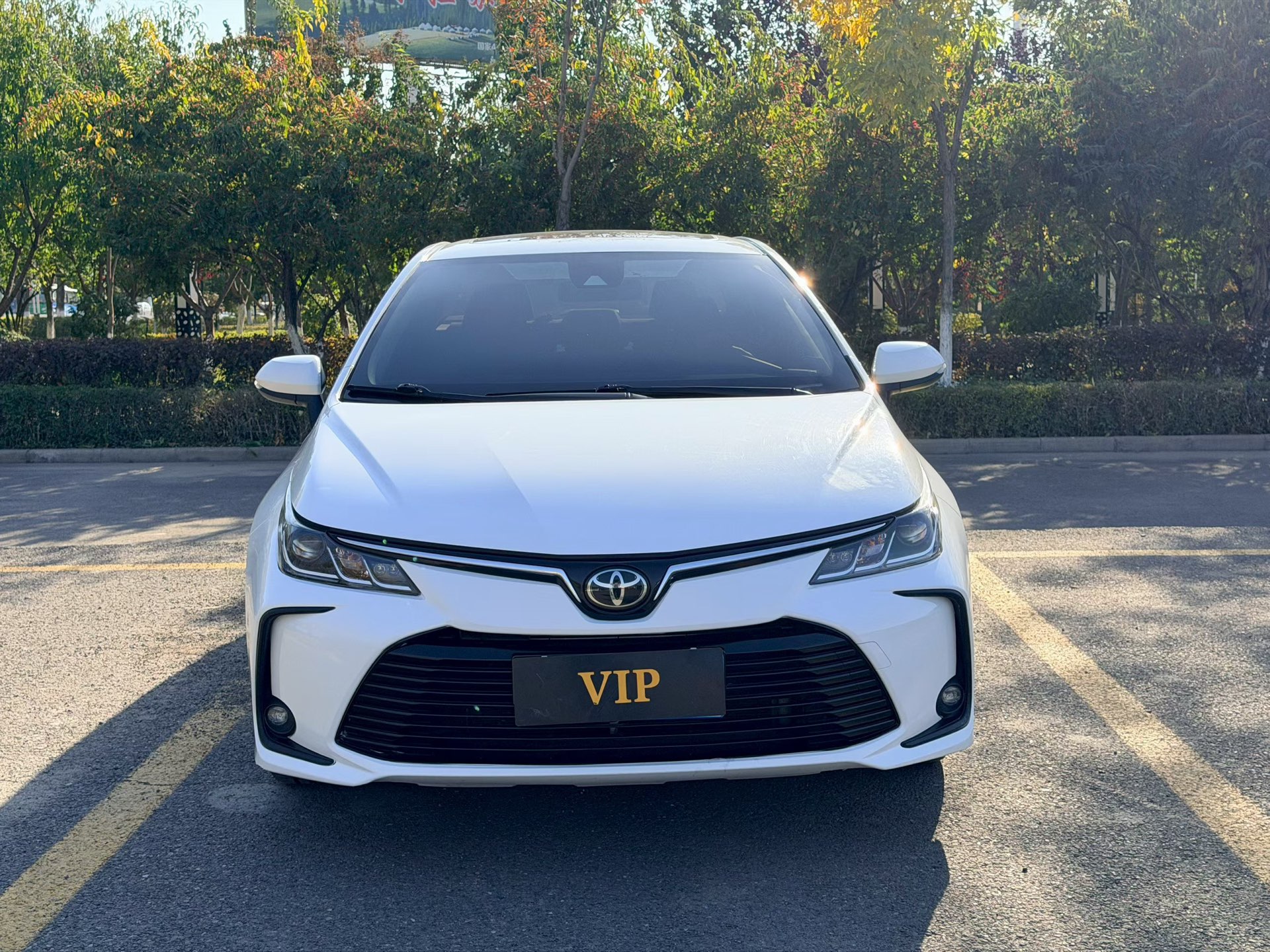 Toyota Corolla 2021 #2 Toyota Corolla 2021 car image #2