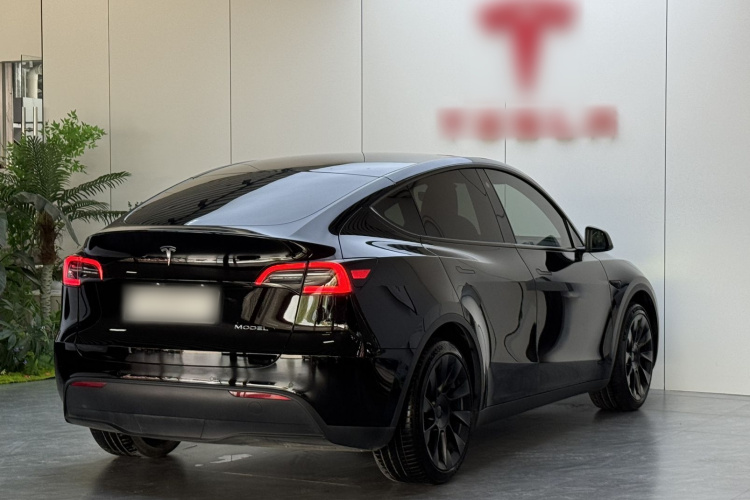 Tesla Model Y 2023 car image #7