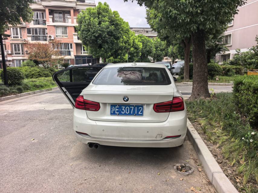 BMW 3 Series 2017 car image #6