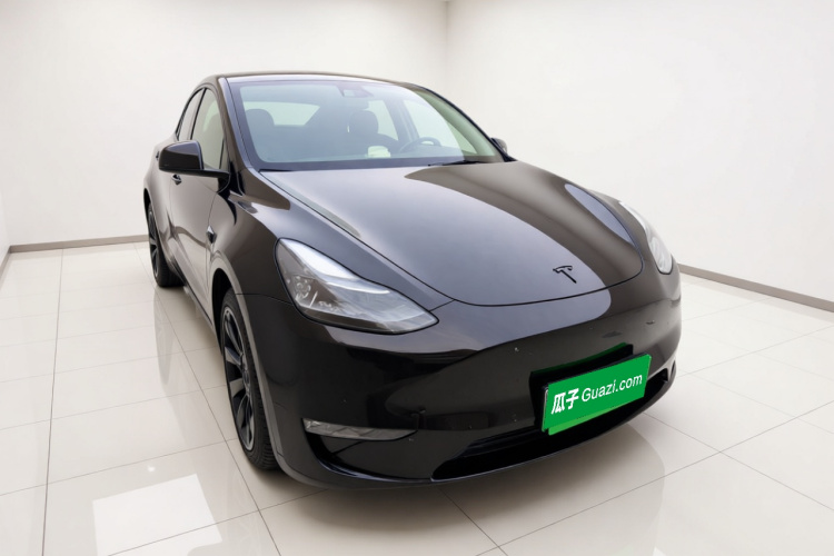 Tesla Model Y 2021 car image #4