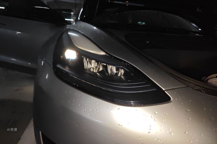 Tesla Model 3 2023 car image #8