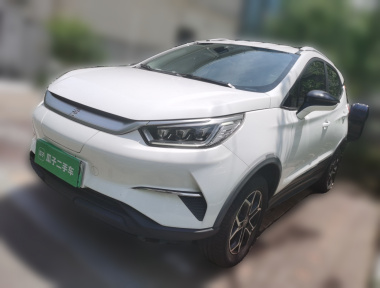 BYD Yuan Pro 2021 immagine di auto 