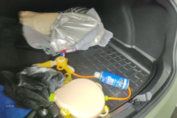 Tesla Model 3 2021 car image #21