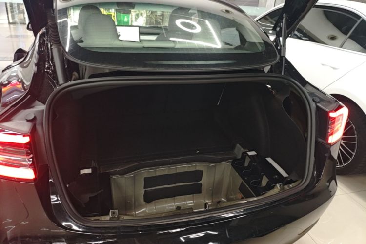 Tesla Model 3 2022 car image #19