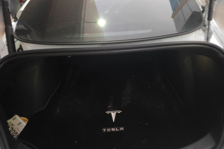 Tesla Model 3 2021 #17 Tesla Model 3 2021 car image #17