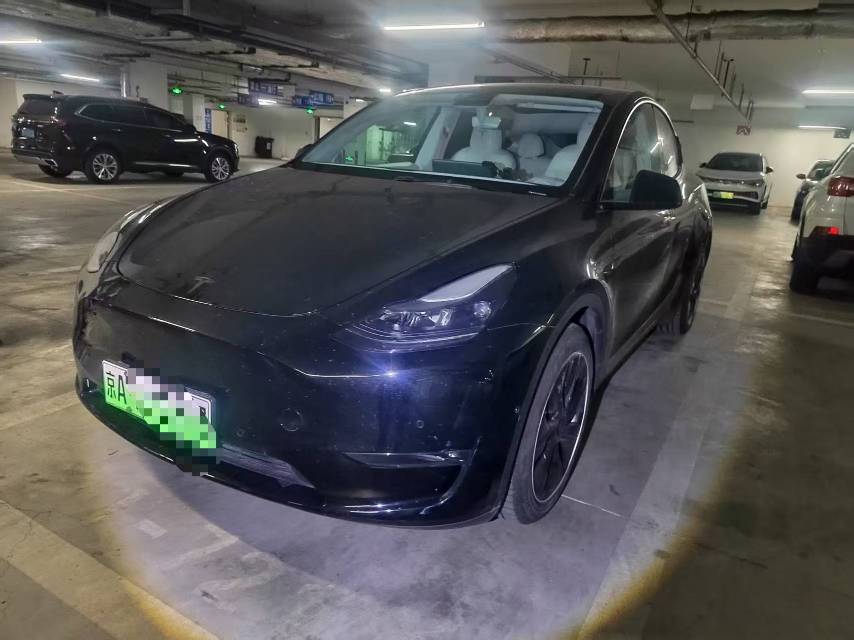Tesla Model Y 2021 Tesla Model Y 2021 car image