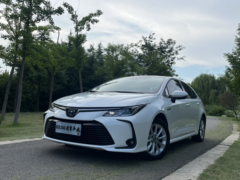 Toyota Corolla 2022 car image 