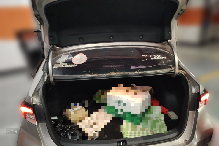 Toyota Corolla 2020 car image #21