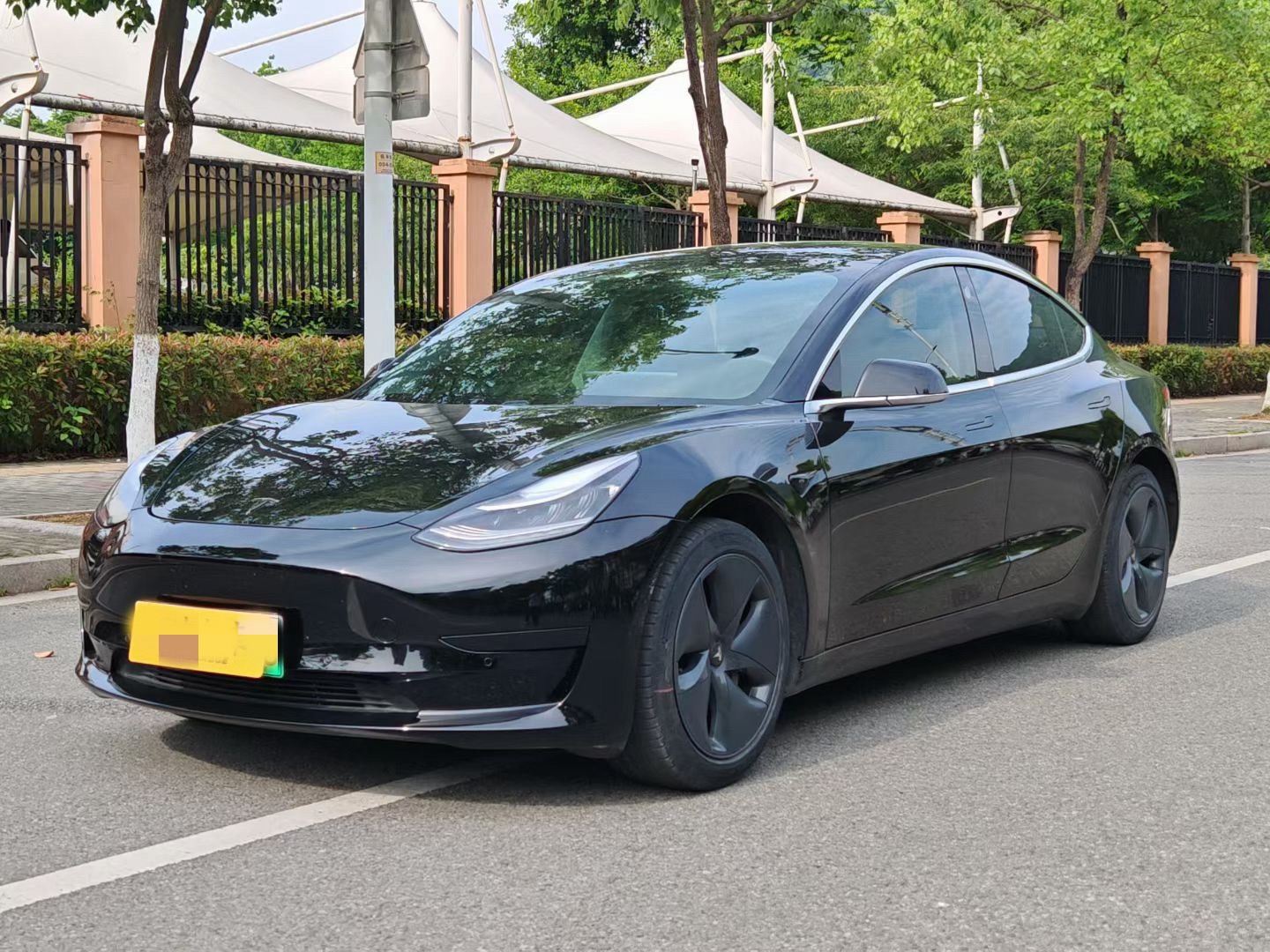 Tesla Model 3 2020 Tesla Model 3 2020 car image