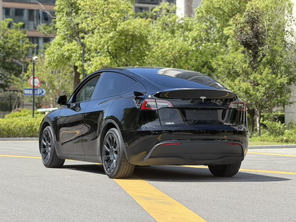 Tesla Model Y 2021 immagine di auto #4
