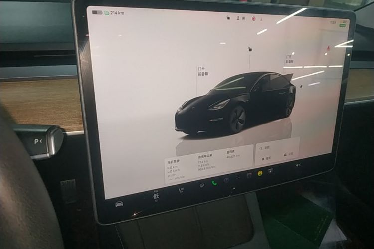 Tesla Model 3 2022 car image #13