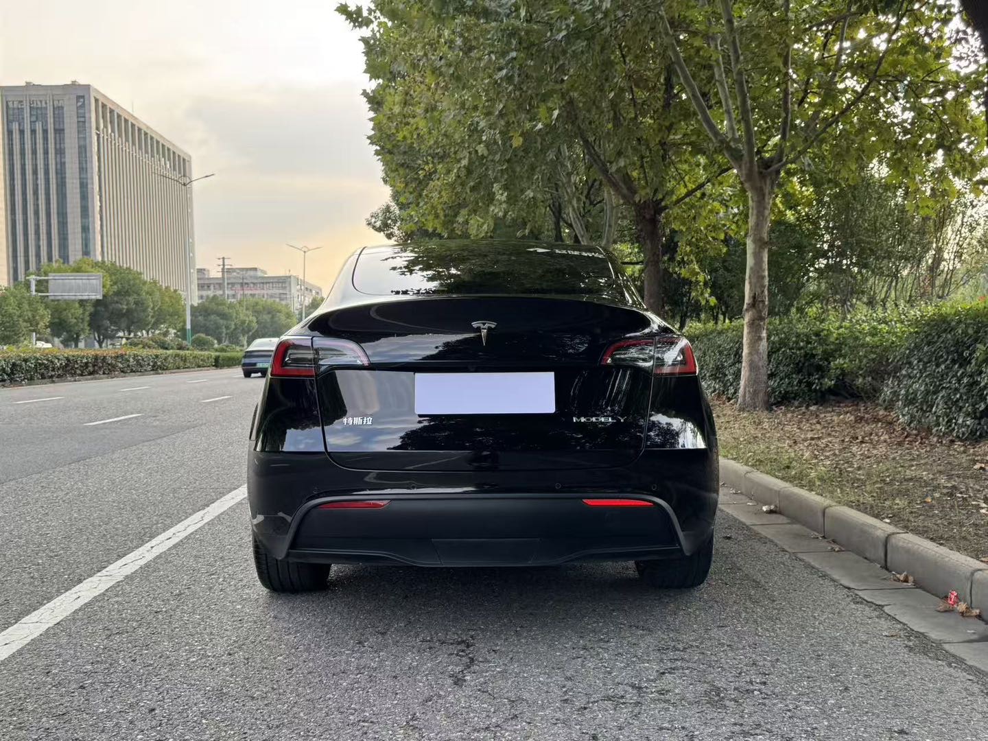 Tesla Model Y 2021 #7 Tesla Model Y 2021 car image #7