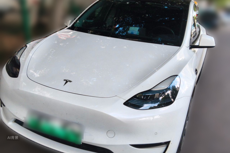 Tesla Model Y 2023 #2 Tesla Model Y 2023 car image #2