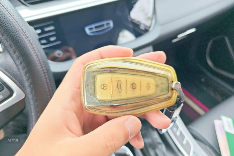 GEELY Emgrand 2020 immagine di auto #10