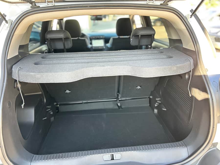 Citroen C4 AIRCROSS 2019 immagine di auto #39