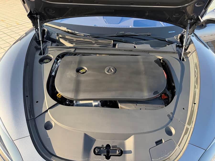 Denza Z9 2024 immagine di auto #39