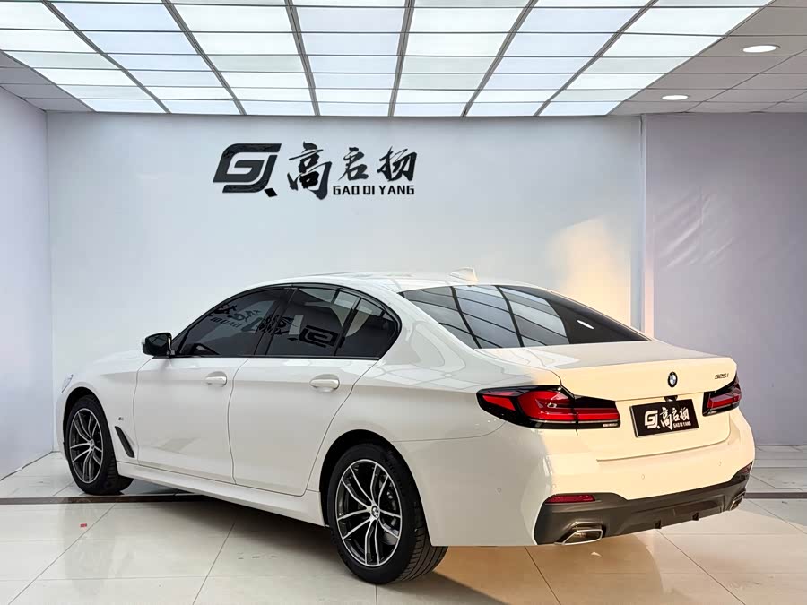 BMW 5 Series (Imported) 2021 car image #39