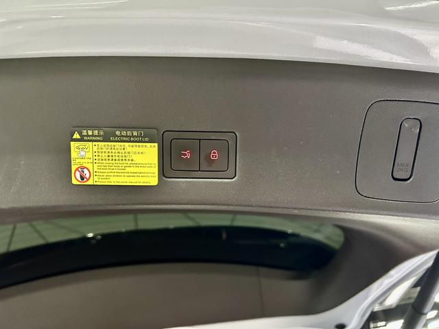 Denza N9 2025 car image #39