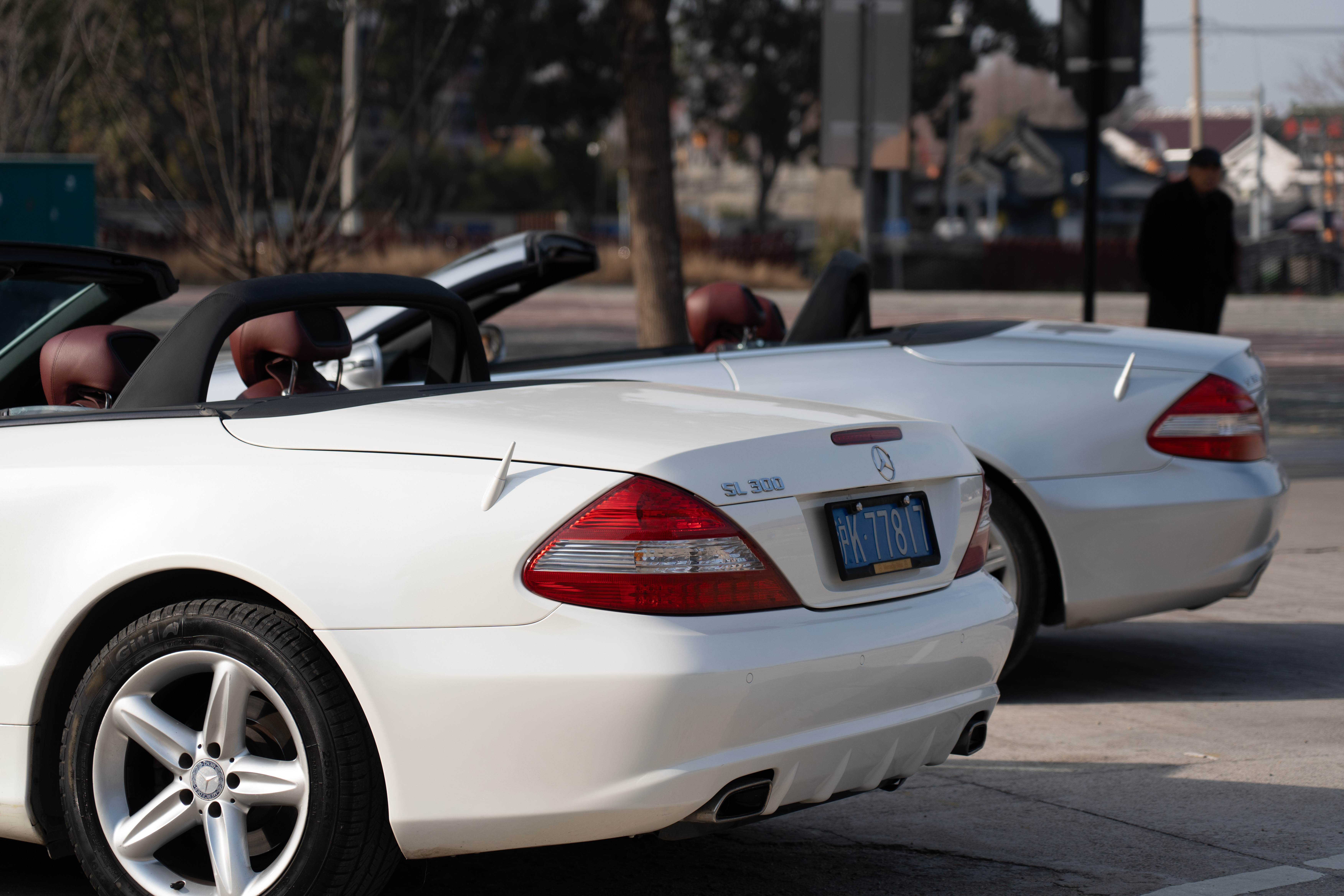 Mercedes-Benz SL Class 2010 immagine di auto #39