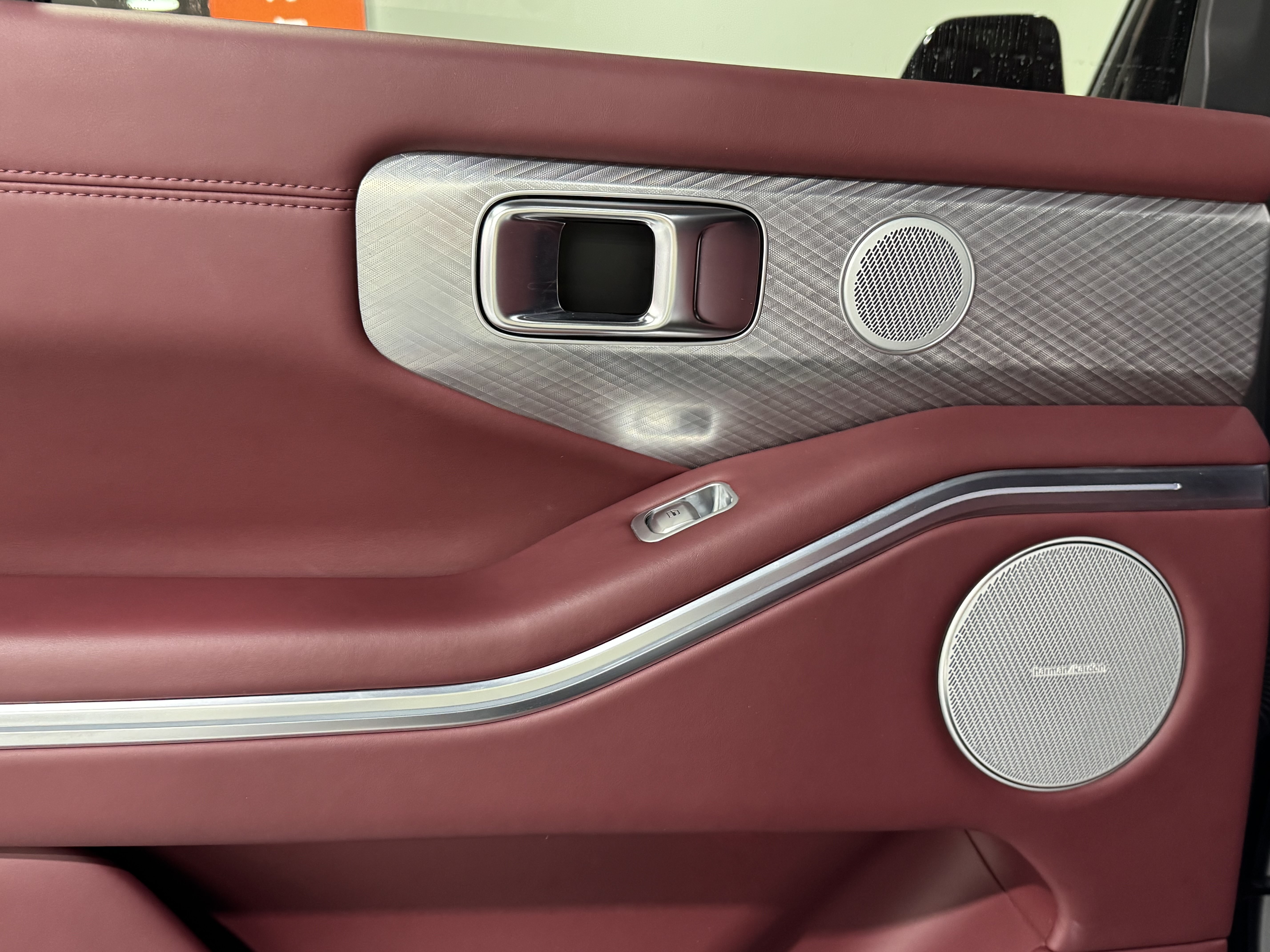 Tank 700 New Energy 2024 immagine di auto #39