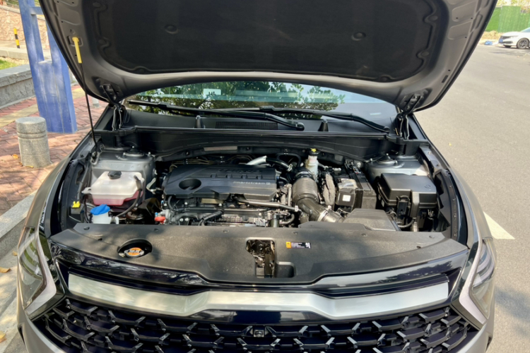 起亚 狮铂拓界 2022 汽车图片 #39