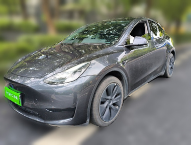 Tesla Model Y 2024 car image 