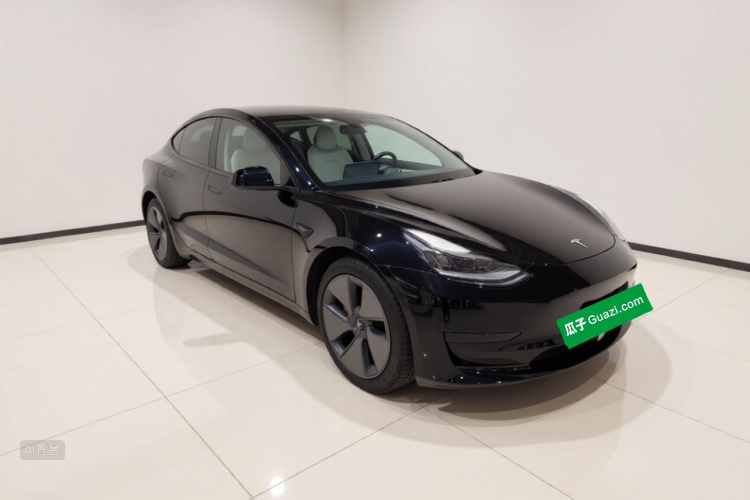 Tesla Model 3 2021 car image #4