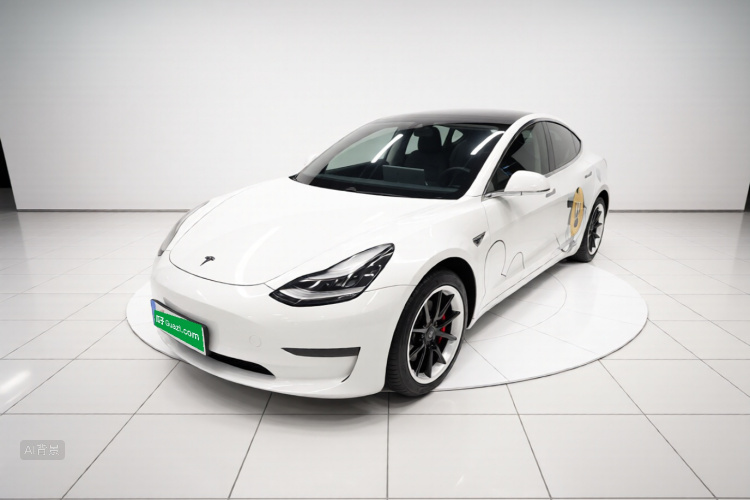 Tesla Model 3 2020 car image #2