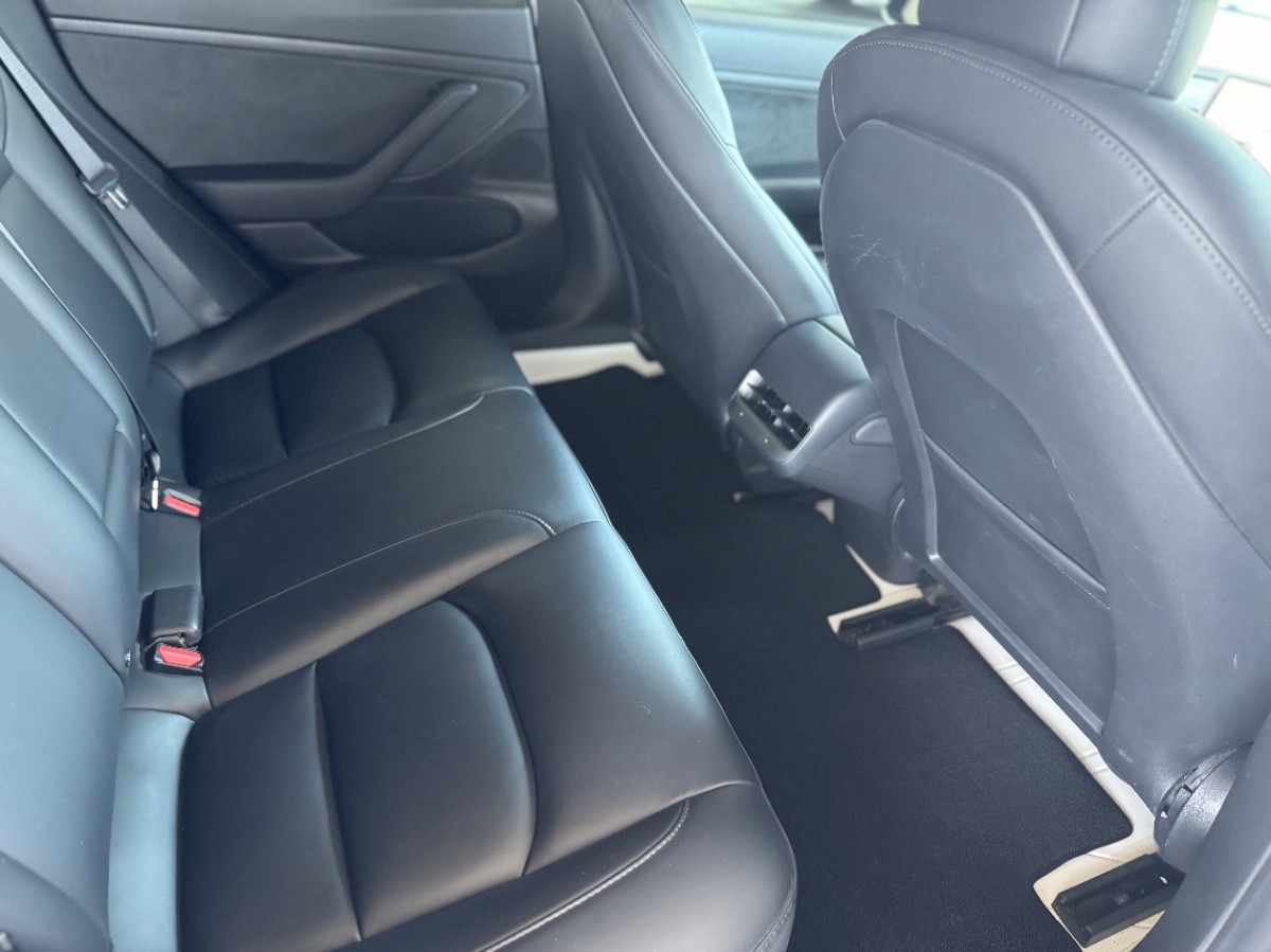 Tesla Model 3 2020 #7 Tesla Model 3 2020 car image #7