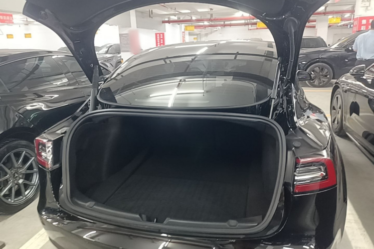 Tesla Model 3 2023 #19 Tesla Model 3 2023 car image #19