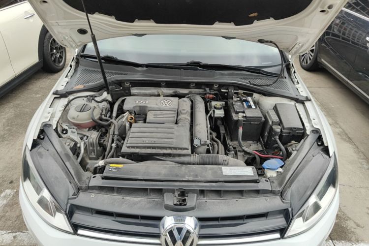 Volkswagen Golf 2017 car image #22