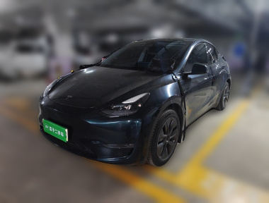 Tesla Model Y 2024 car image 