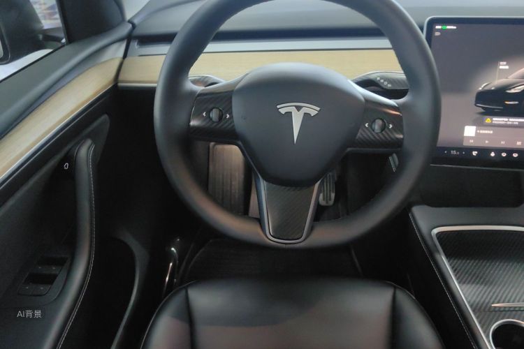 Tesla Model Y 2023 car image #12