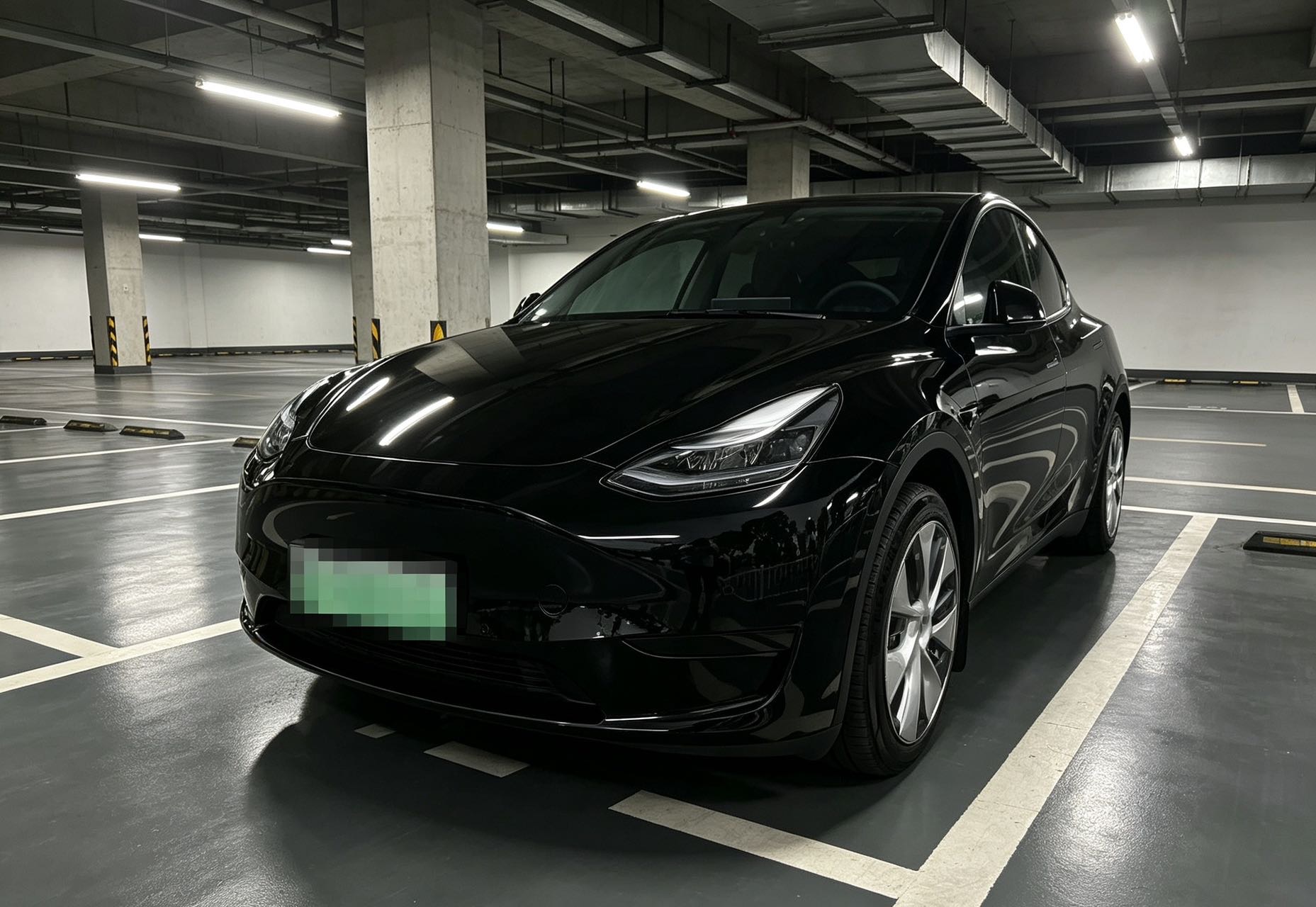 Tesla Model Y 2023 car image 