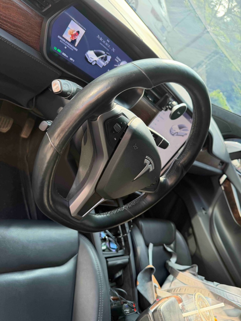 Tesla Model X 2021 car image #8