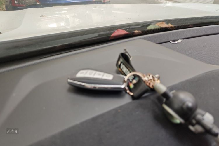 GEELY Boyue L 2023 immagine di auto #10
