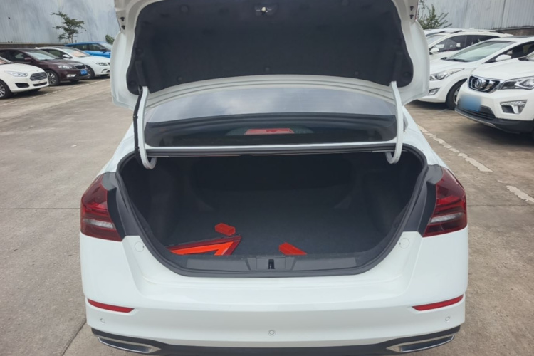 GEELY Emgrand 2021 immagine di auto #19