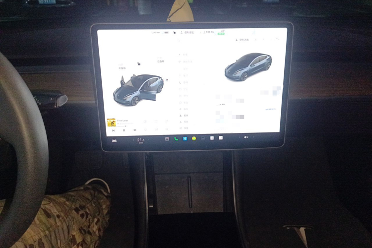 Tesla Model 3 2020 car image #13